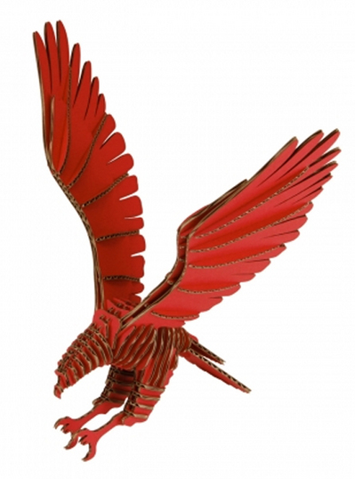 hawk[2].jpg